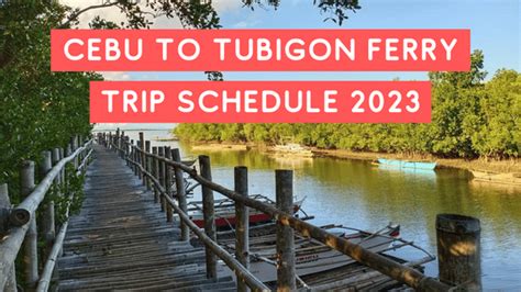 Cebu to Tubigon Ferry Guide & Schedule 2023.